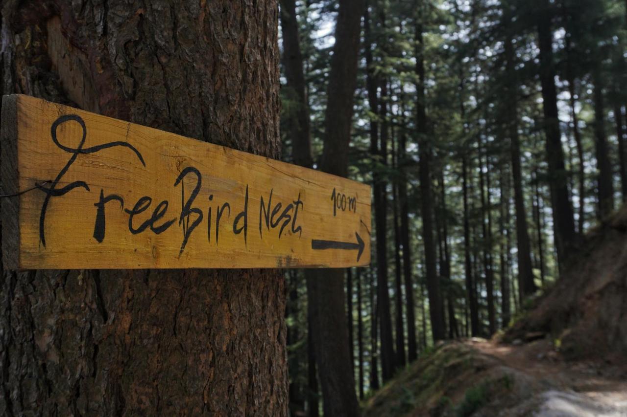 Freebird Nest Jibhi Hotel Luaran gambar